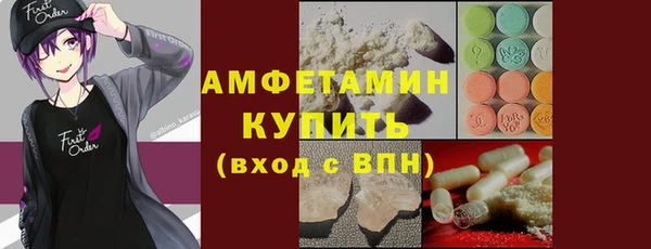 шишки Медвежьегорск