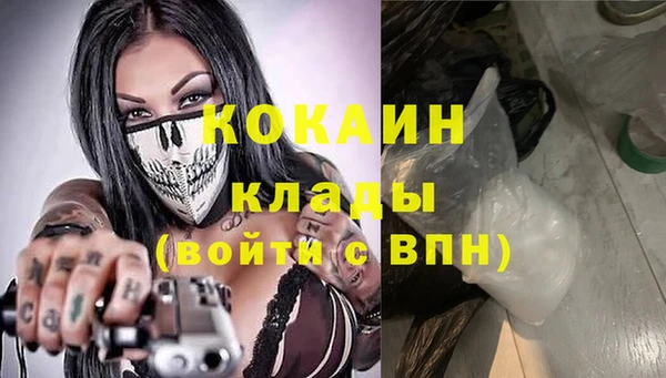 шишки Медвежьегорск