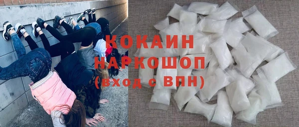 шишки Медвежьегорск