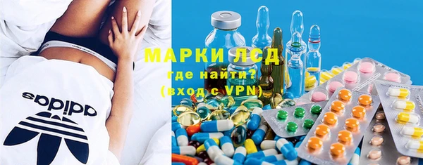 шишки Медвежьегорск
