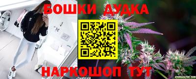 PSILOCYBIN Гай