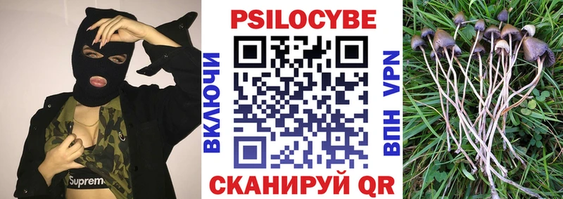OMG вход  Киров  Псилоцибиновые грибы MAGIC MUSHROOMS  закладки 
