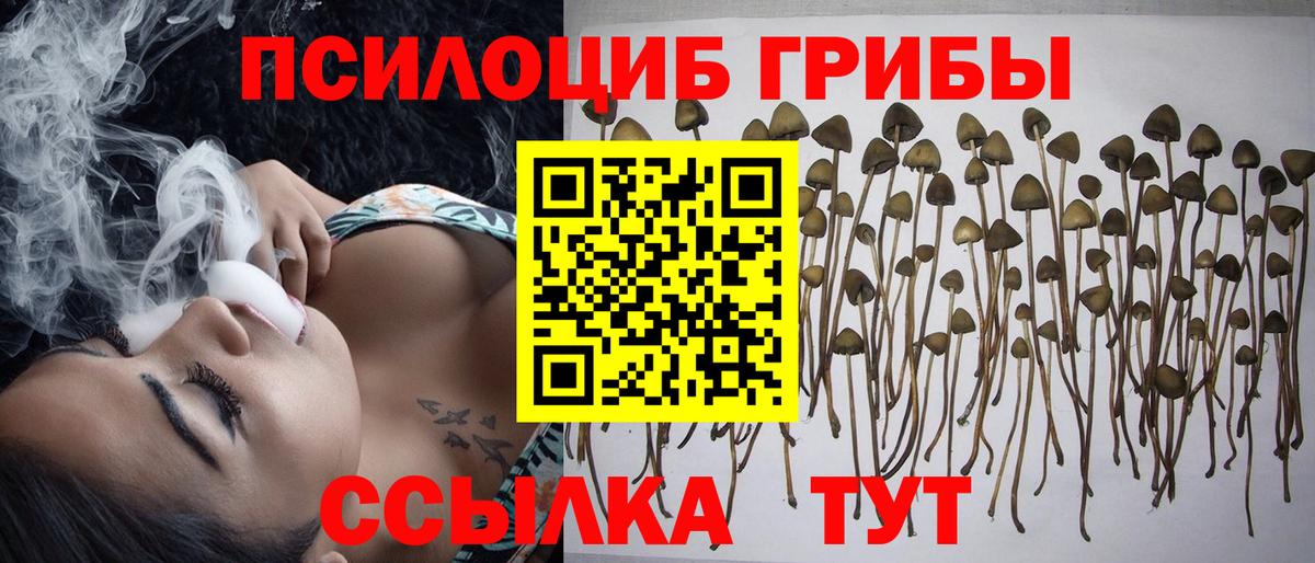 купить   Галлюциногенные грибы MAGIC MUSHROOMS  Вход с VPN  Киров 