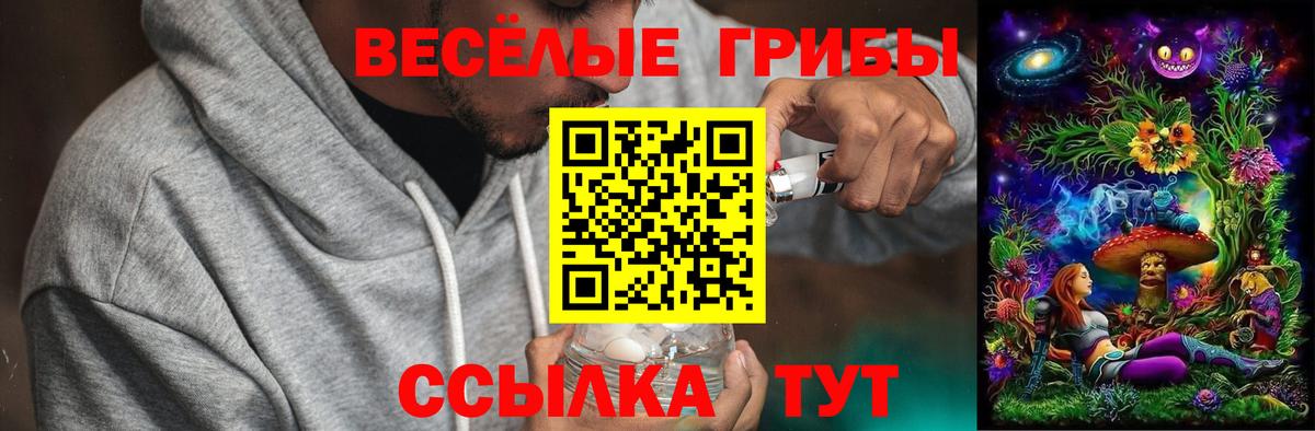 Галлюциногенные грибы MAGIC MUSHROOMS Киров
