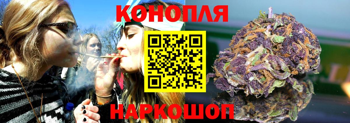 Каннабис планчик Киров
